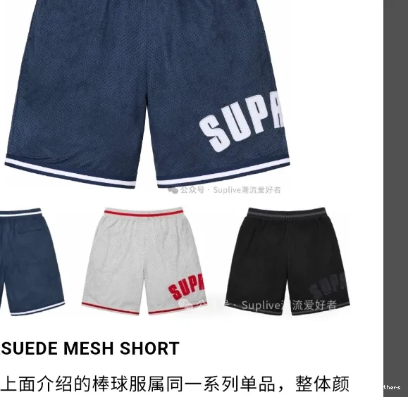 suede SHORT ULTRASUDE mesh 24SS shorts MESH 0723